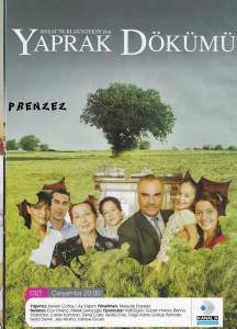 Листопад (сериал 2006)